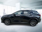 2024 Lexus NX 350 Premium AWD