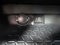 2024 Toyota RAV4 Hybrid XLE AWD (Natl)