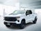 2023 Chevrolet Silverado 1500 Crew Cab Short Box 4-Wheel Drive Custom Trail Boss